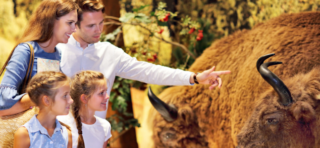 Top 5 Reasons to Visit a Museum with Your Family