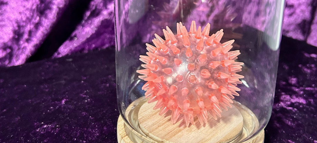 A spiky bouncy ball inside a glass container.